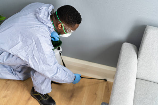 Real Estate Pest Inspections in Sheridan, CA